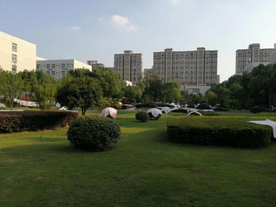 (图为同学们“晒被子”) MK体育官方网站