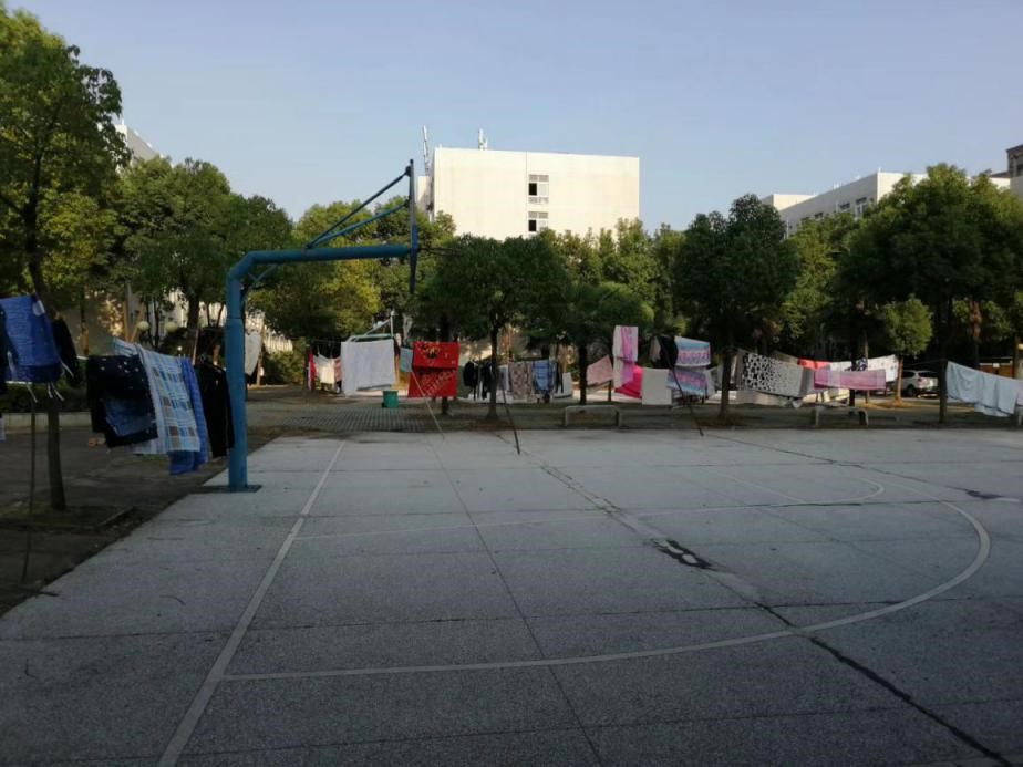 MK体育官方网站